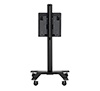 BT8563 - Designer trolley - Rear