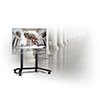 BT8565 - Designer trolley lifestyle